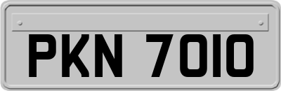 PKN7010