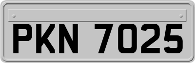 PKN7025