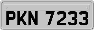 PKN7233