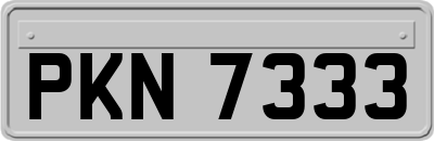 PKN7333
