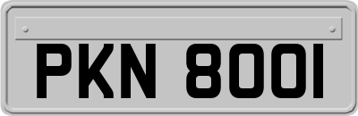 PKN8001