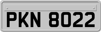 PKN8022