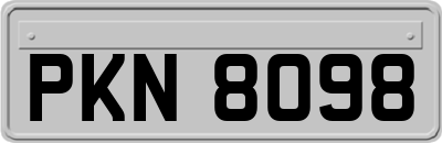 PKN8098