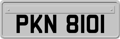 PKN8101