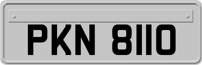 PKN8110