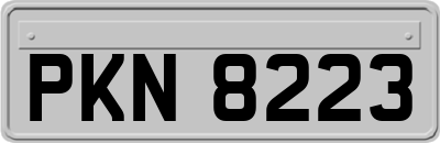 PKN8223