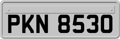 PKN8530