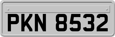 PKN8532
