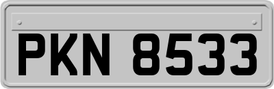 PKN8533