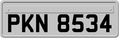 PKN8534