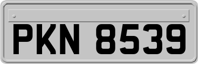 PKN8539