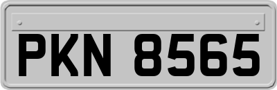 PKN8565