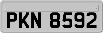 PKN8592