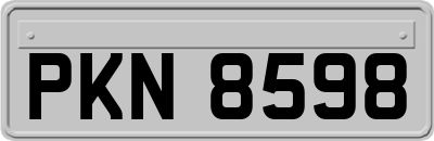 PKN8598