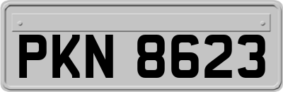 PKN8623