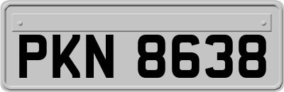 PKN8638