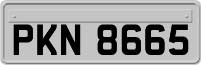 PKN8665