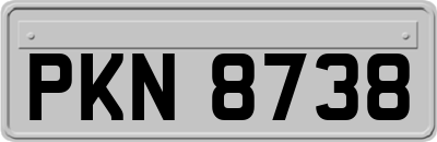 PKN8738