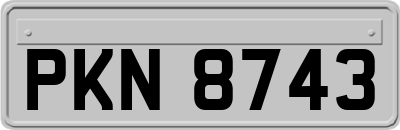 PKN8743
