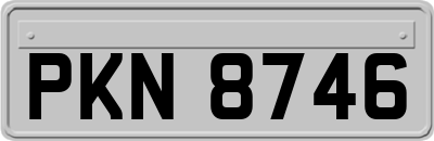 PKN8746