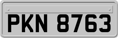 PKN8763