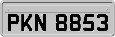 PKN8853