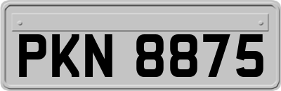 PKN8875