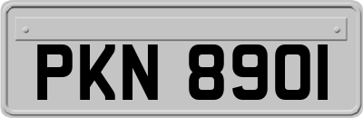 PKN8901