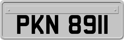 PKN8911
