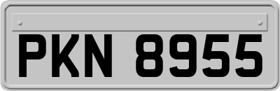 PKN8955