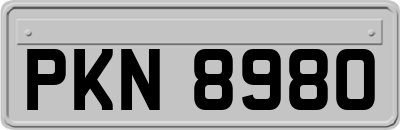 PKN8980