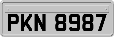 PKN8987