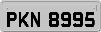 PKN8995