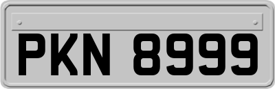 PKN8999