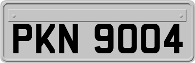 PKN9004
