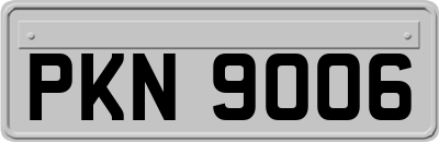 PKN9006