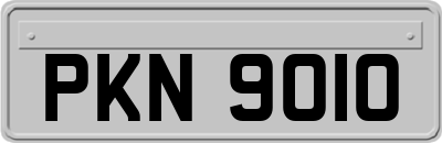 PKN9010