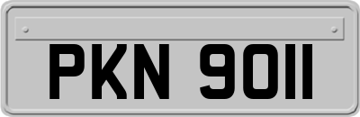 PKN9011