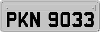 PKN9033