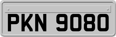 PKN9080