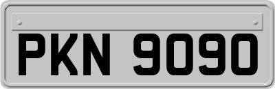 PKN9090