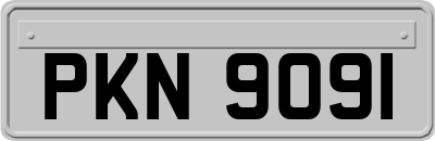 PKN9091