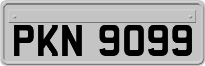 PKN9099