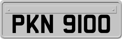 PKN9100