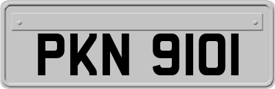PKN9101