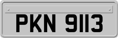 PKN9113