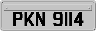 PKN9114