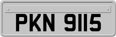 PKN9115