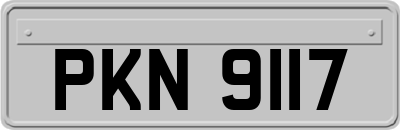 PKN9117