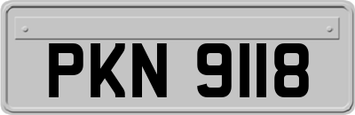 PKN9118